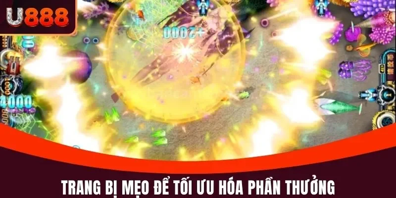 Trang bị mẹo để tối ưu hóa phần thưởng