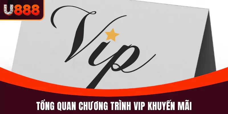 Tổng quan chương trình VIP khuyến mãi