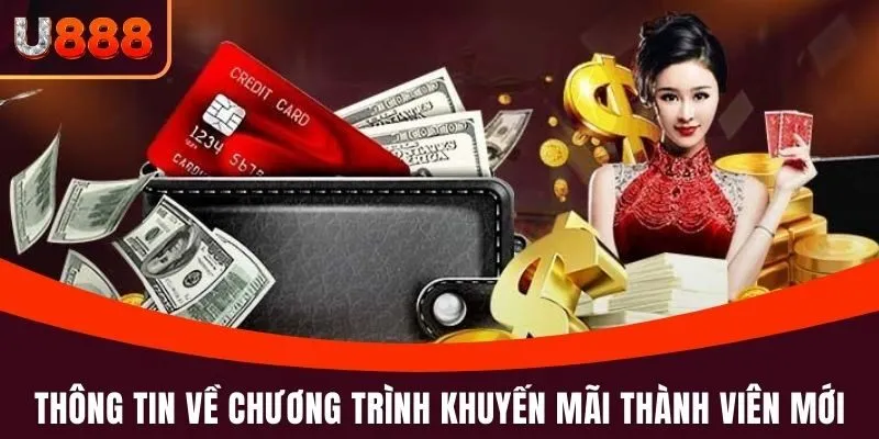 Tổng hợp chương trình khuyến mãi thành viên mới