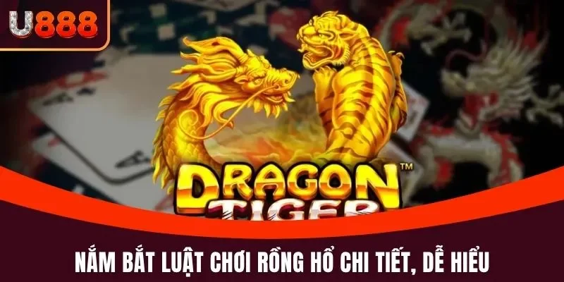 Nắm bắt luật chơi Rồng Hổ chi tiết, dễ hiểu