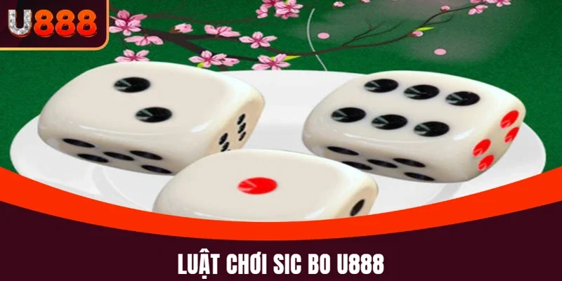 Sic Bo U888 và luật chơi chi tiết