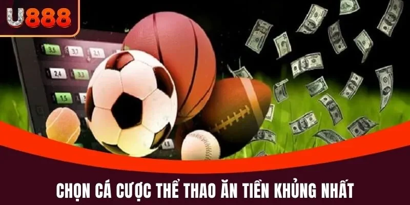 Chọn cá cược thể thao ăn tiền khủng nhất